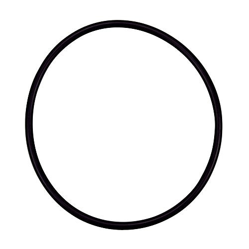 355227Z Pentair Diffuser O-Ring