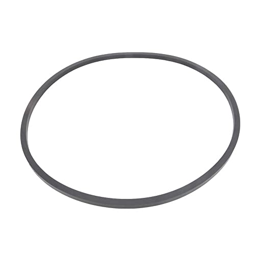 357099Z Pentair Seal Plate O-Ring