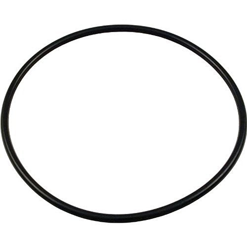 39200300 Pentair Volute O-Ring Eagle Pump O330