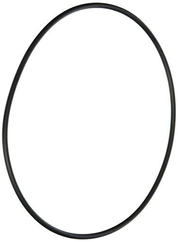 50151700 Pentair O-Ring, Lid