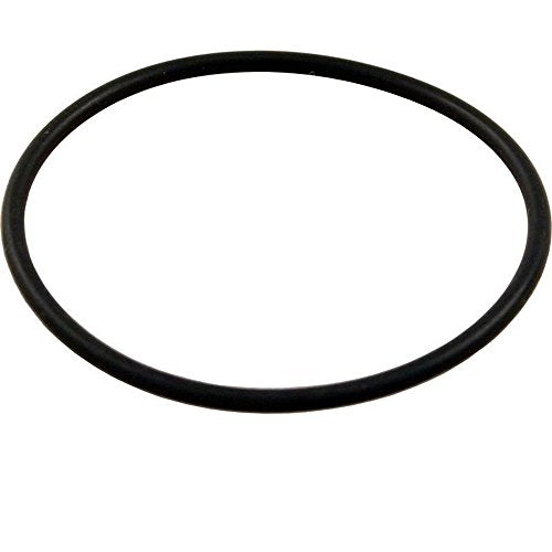51013500 Pentair Pentair Union Nut O-Ring