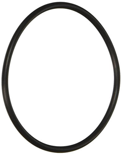 59000600Z Pentair Oring Stand Pipe