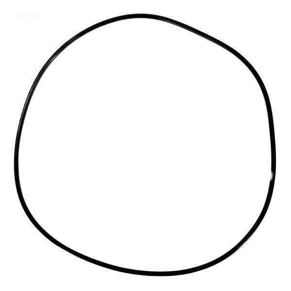 59021000 Pentair Tank-O-Ring American