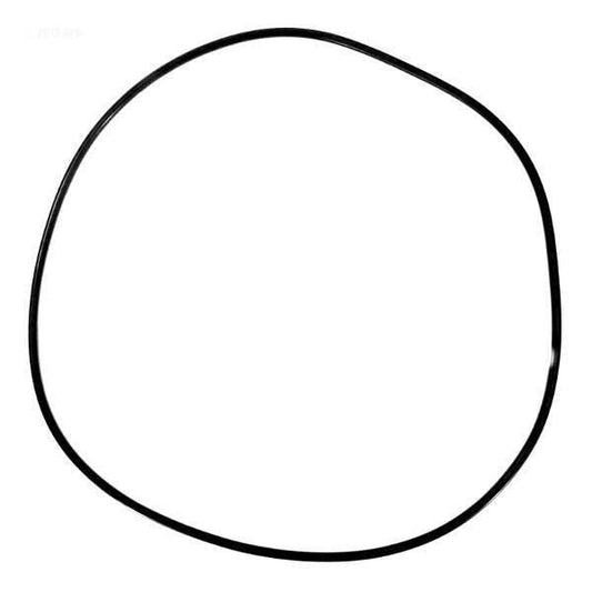 59021000 Junta tórica para tanque Pentair American