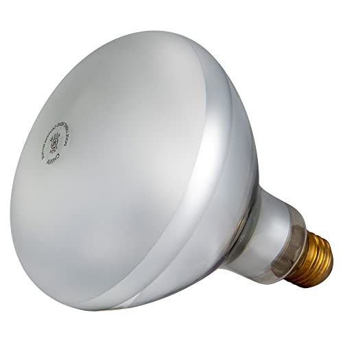 79102100Z Pentair 500Watt 120V Floodlamp