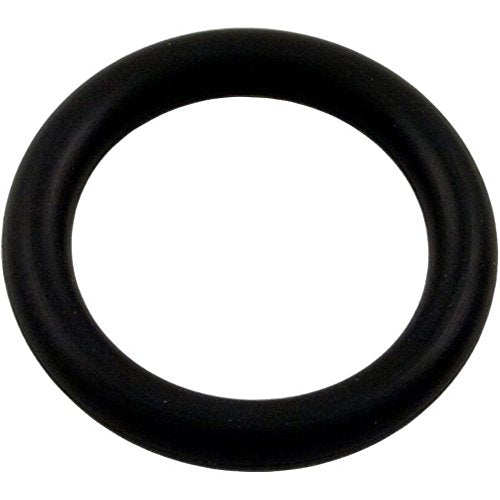 79116900 Pentair O-Ring, Bulb Assembly