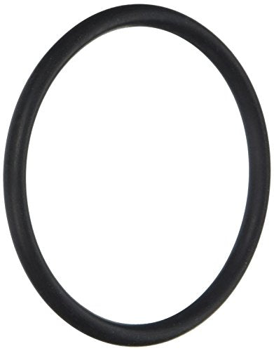 79207100 Pentair O-Ring With Instructions