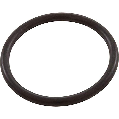 86006900 Pentair Pentair (American) Rpm O-Ring