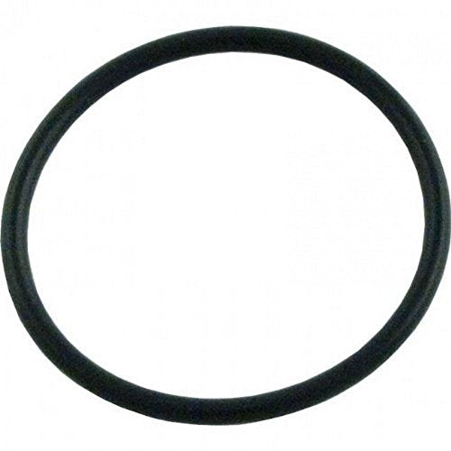 AX5010G19 Hayward In-Line Filter O-Ring