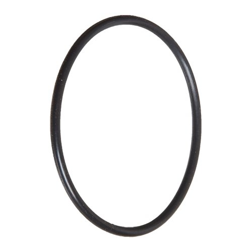 Pentair FSO #028 O-Ring Small Meters