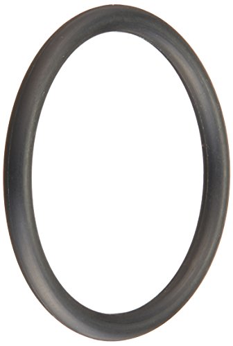 E21 Pentair O-Ring Wall Fitting