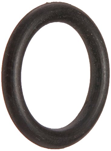 R172221Z Pentair O-Ring Vent Valve Rainbow