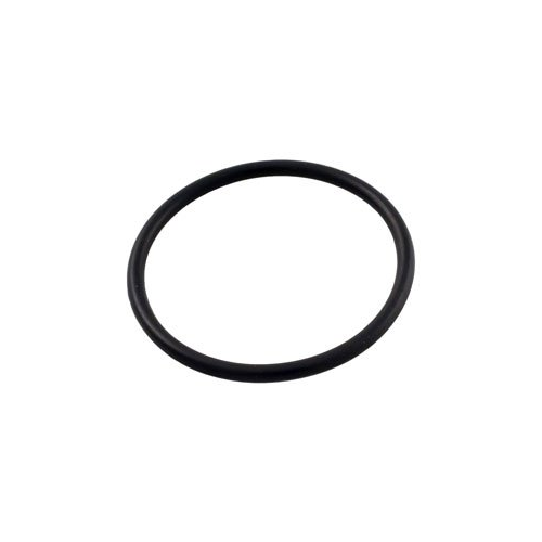 R172319Z Pentair O-Ring Feeder Btm Rainbow