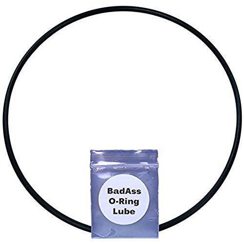 Joint torique R18608 Pentair Rainbow #183