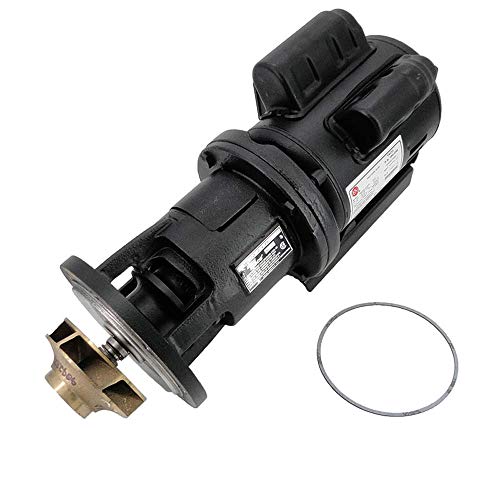 RA2117202 Pentair Pump Circ Assy 1/2Hp