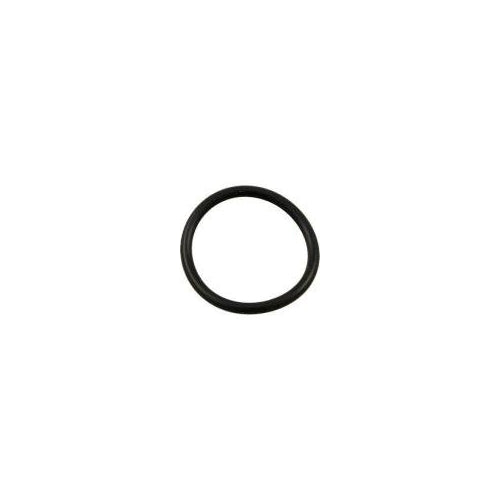 SPX0728H Hayward O-Ring, End Connector