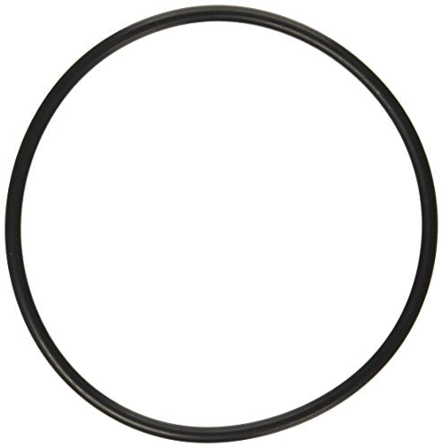 SPX1500P Hayward O-Ring For Lexan