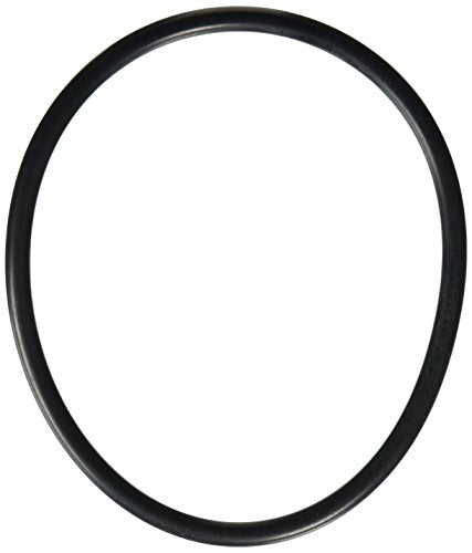 U9-161 Pentair O-Ring, Lid