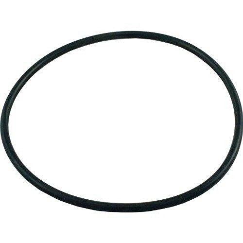 U9-369 Pentair Starite Flange O-Ring