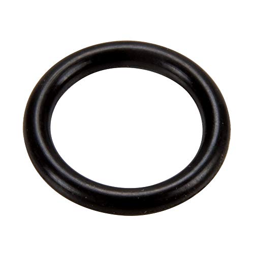 JV18 Pentair Pentair Valve Stem O-Ring