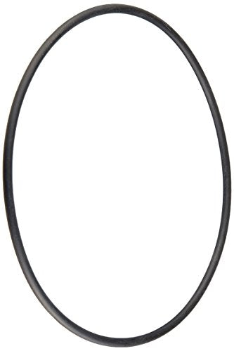 39101500  Pentair Volute O-Ring Maxim Pool and Spa Pump