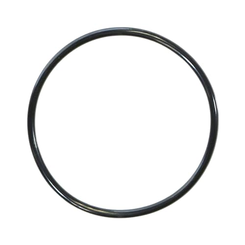 590118Z Pentair O-Ring For Colorvision LED Light Bubbler