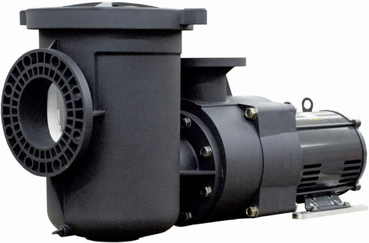 Pentair EQ-750 EQ-Series NEMA Premium Efficiency 1-Phase with Strainer, 7.5HP