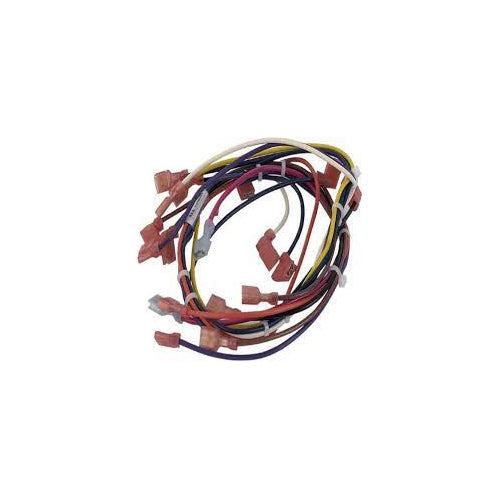 Pentair 475112 Main 1 Phase Harness Wire
