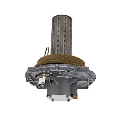 Pentair 476059 ETI 400 Burner Assembly