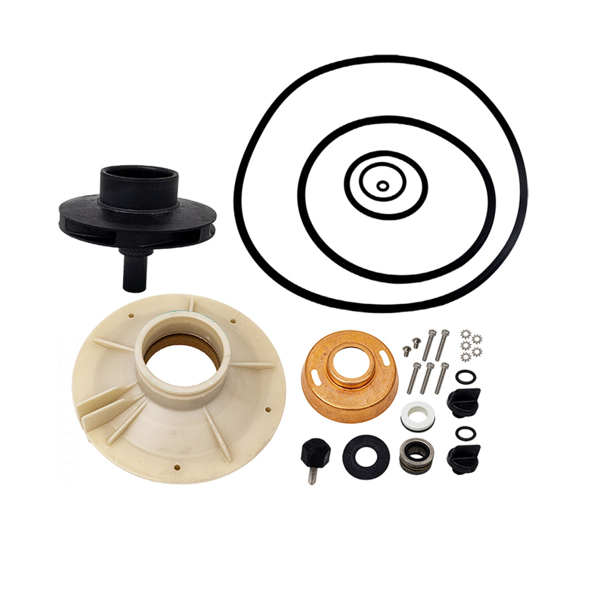Pentair PP4013 Parts-Pak Overhaul Seal/Gasket Kit