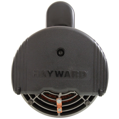 Motor, Hayward TriStar, 1.0 hp, 1 velocidad, 115 V/208-230 V, SQFL, EE, completo