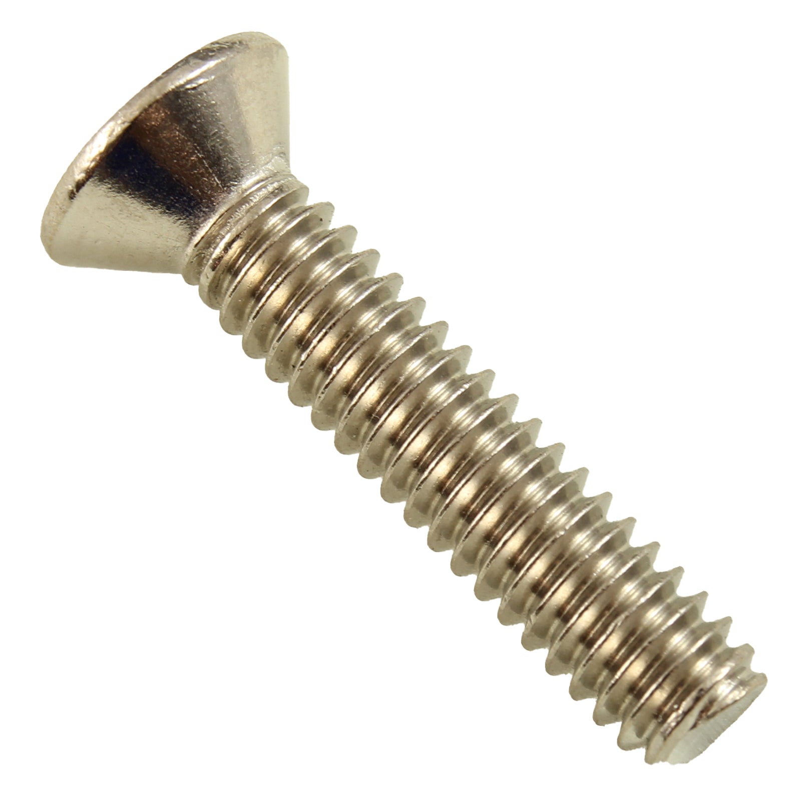 98202700Z Light Niche Screw, Pentair, Amerlite, 1/4-20 x 1.25"