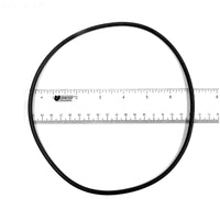 LA415 Pentair Volute Seal Bracket O-Ring 117mm x 4mm