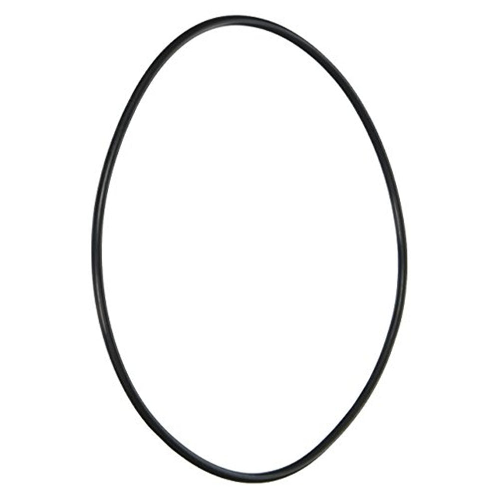Junta tórica para soporte de sello de voluta Pentair LA415, 117 mm x 4 mm