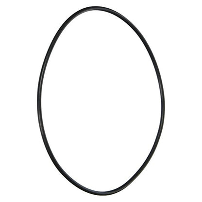 Junta tórica para soporte de sello de voluta Pentair LA415, 117 mm x 4 mm
