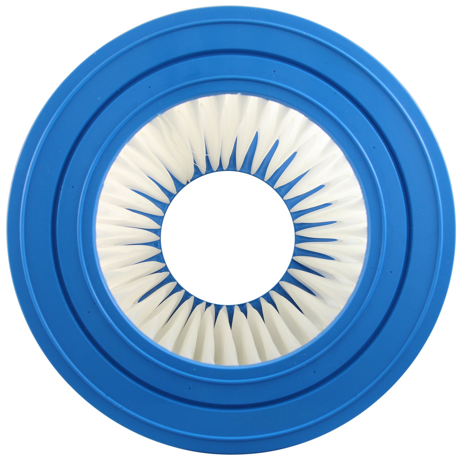 Pentair EasyClean DE Replacement Cartridge (196039)