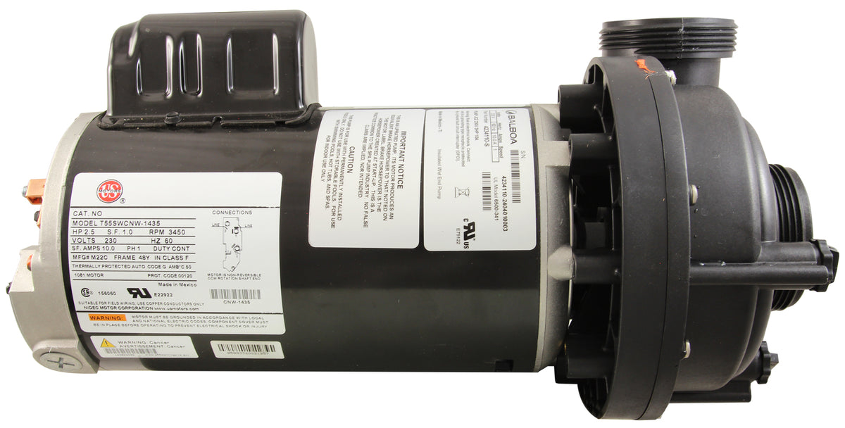 Pump, Sundance Theramax SD, 2.5hp, 230v, 1-Spd, 2", Bracketless