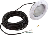 Spa Light, Hayward ColorLogic 4.0, LED, 115v, 100' Cord, SS