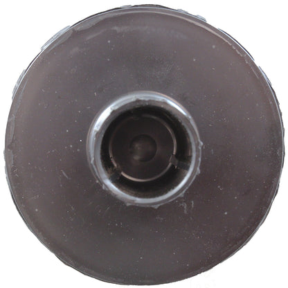 Standpipe Assembly, Pentair PacFab Tagelus TA40