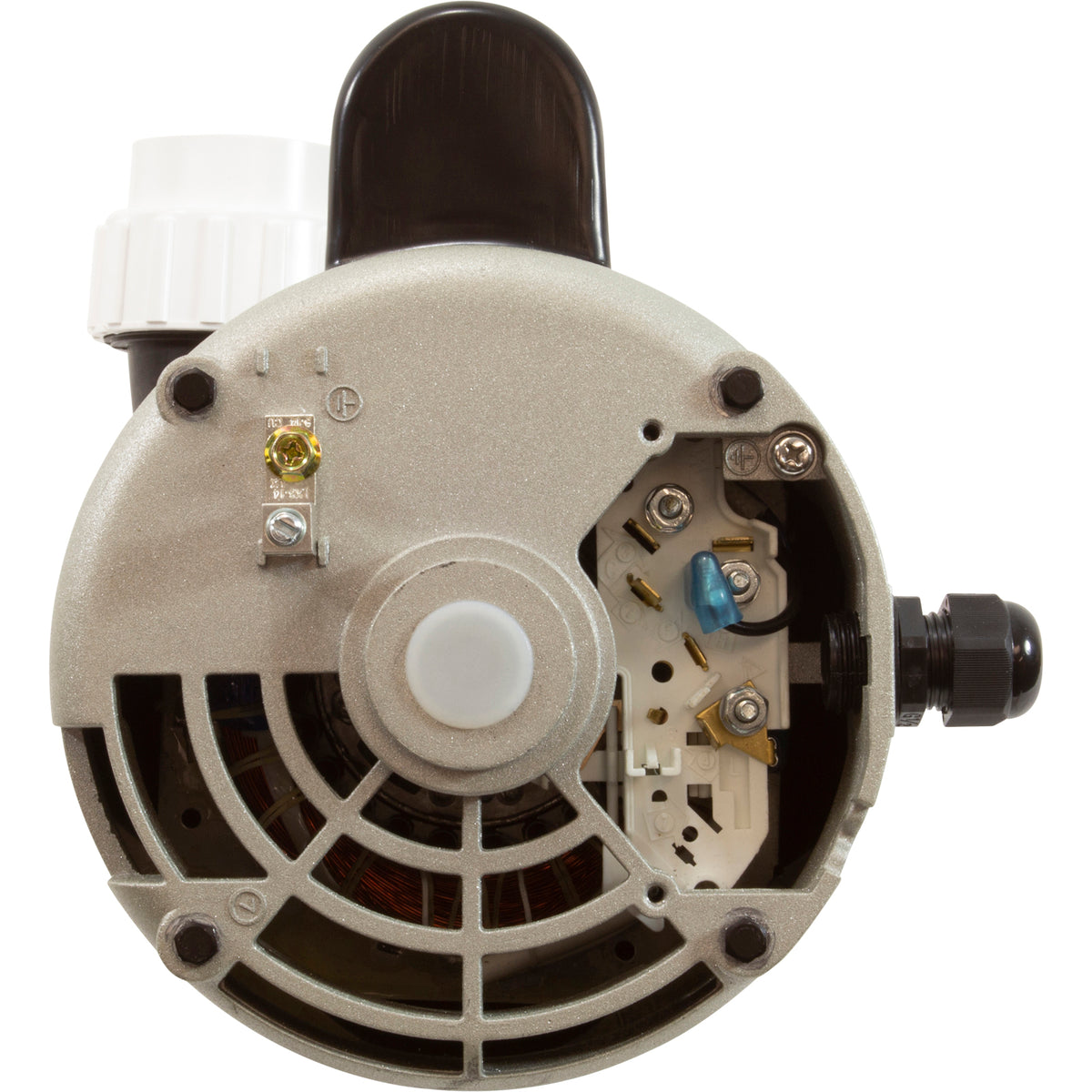 Pump, LX, 2.5HP/4.0HP, 230V, 2-Spd, 12A, 2" In/Out, 56Fr No Feet