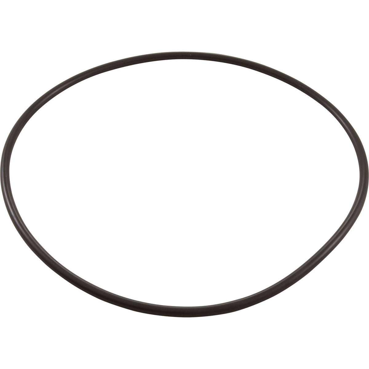 O-Ring, Waterco, for 3" Union