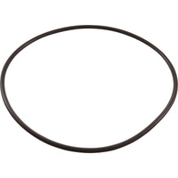 O-Ring, Waterco, for 3" Union
