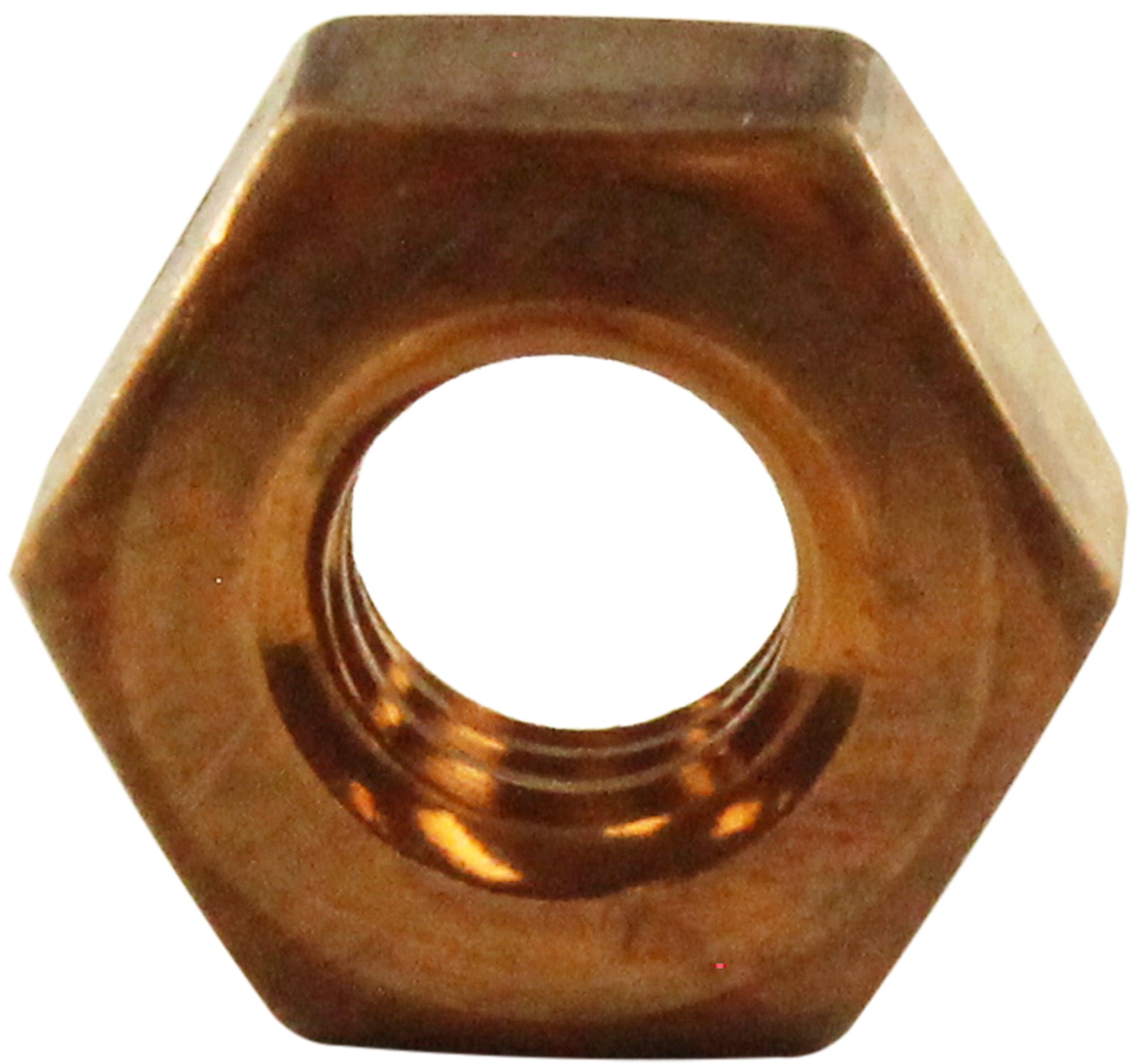 Light Nut, Pentair Amerlite, 1/4-20