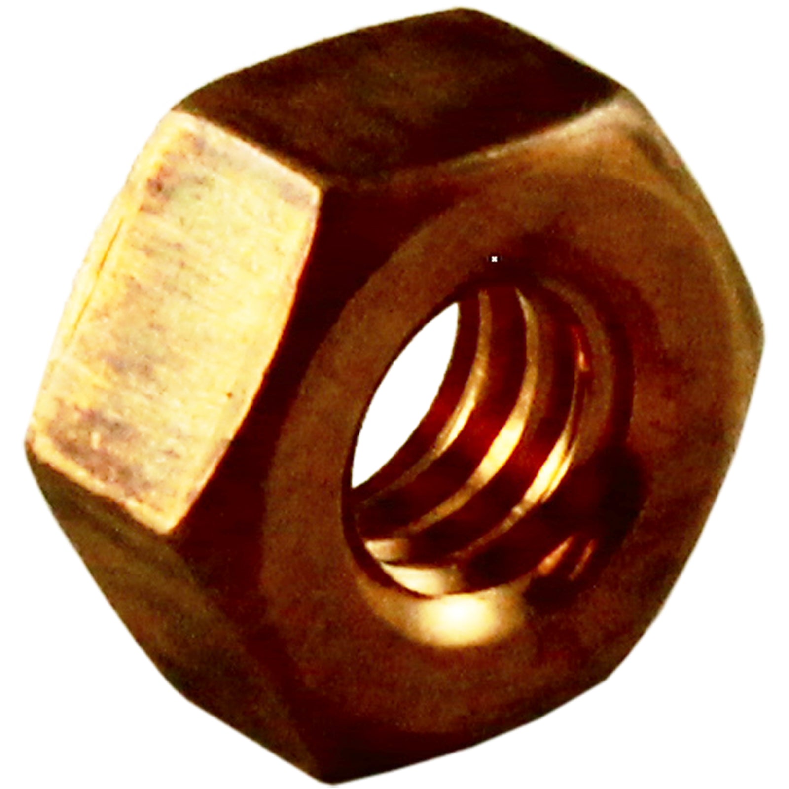 Light Nut, Pentair Amerlite, 1/4-20