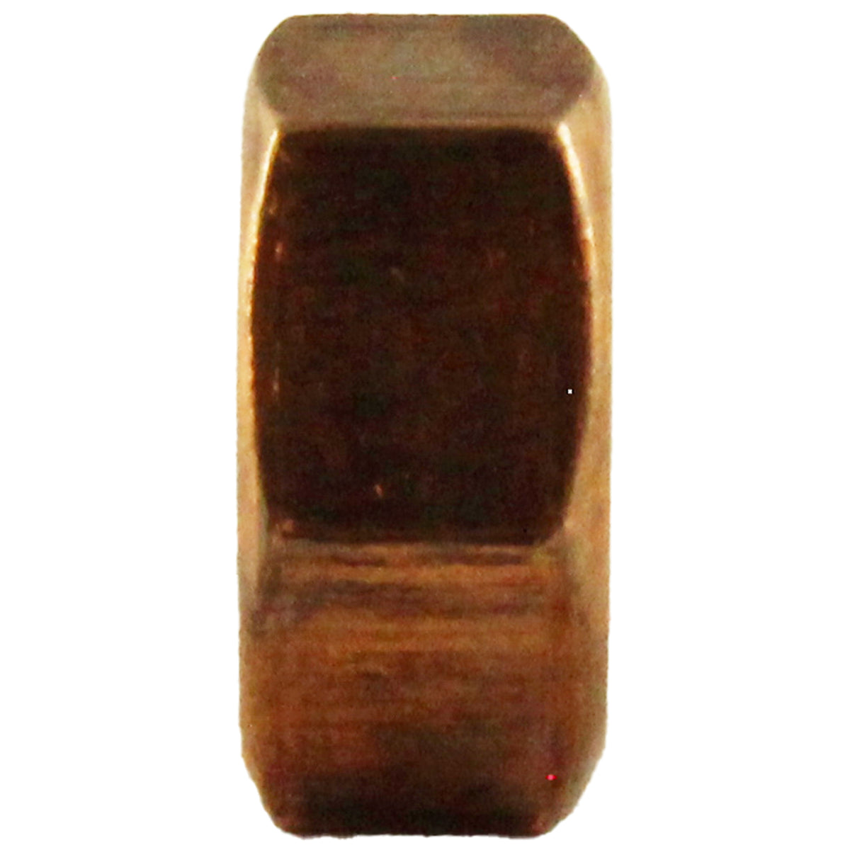 Light Nut, Pentair Amerlite, 1/4-20