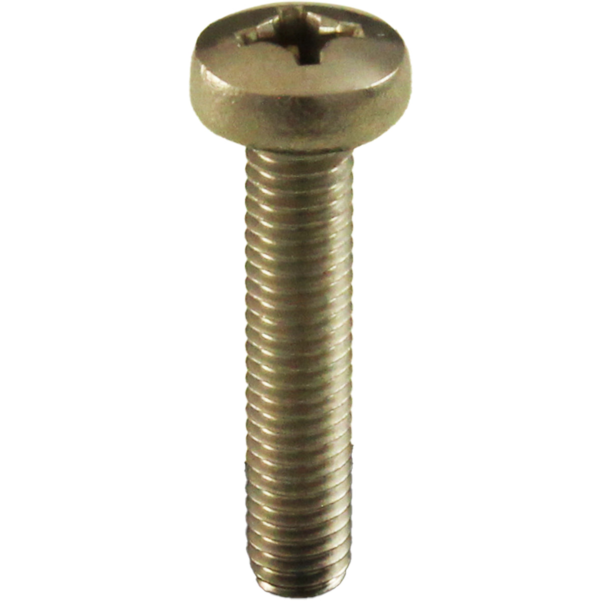 Bolt, Pentair 1-1/2" & Top/Side Mount Valve, M6-1x30, Pan