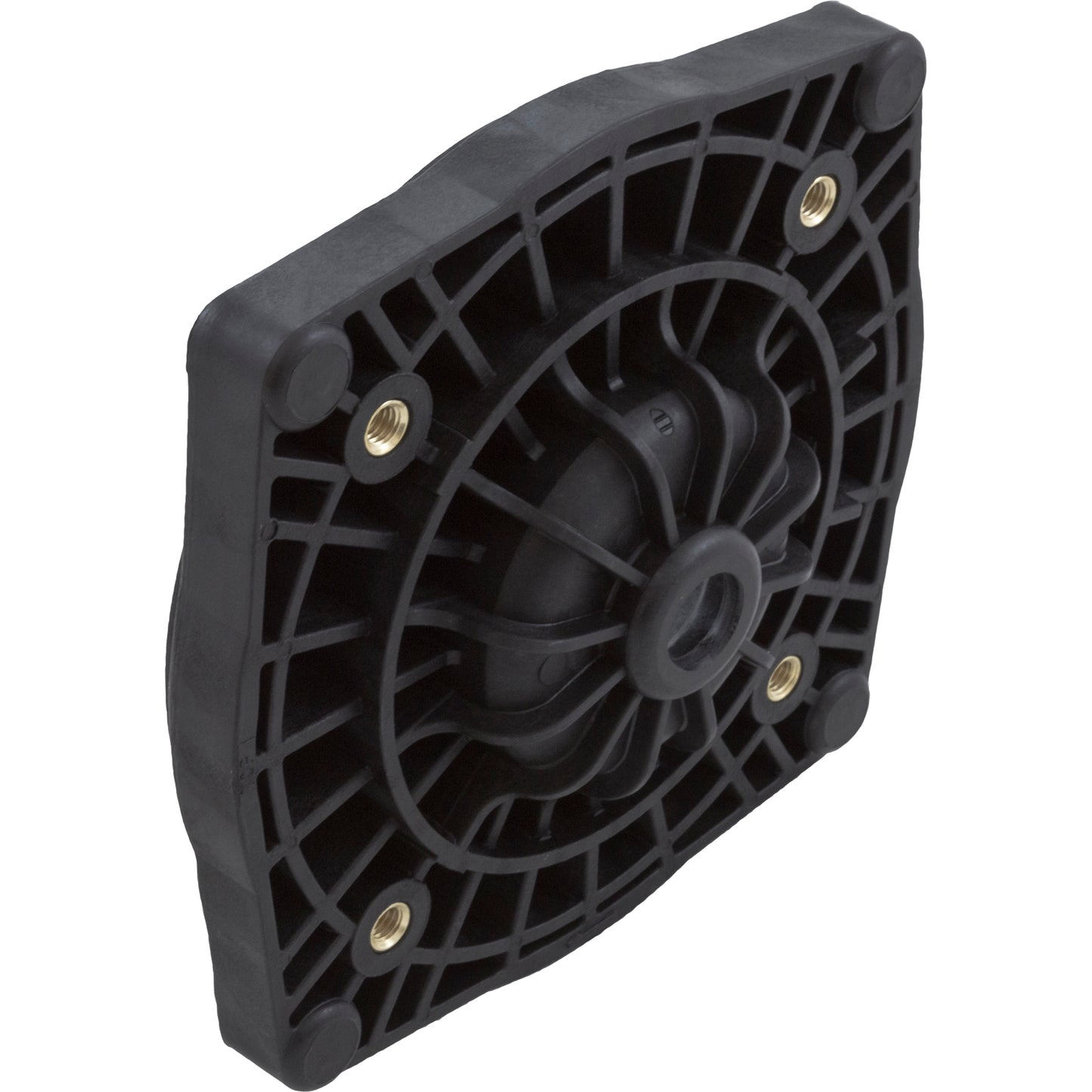 Seal Plate, Pentair StaRite SuperMax, Black