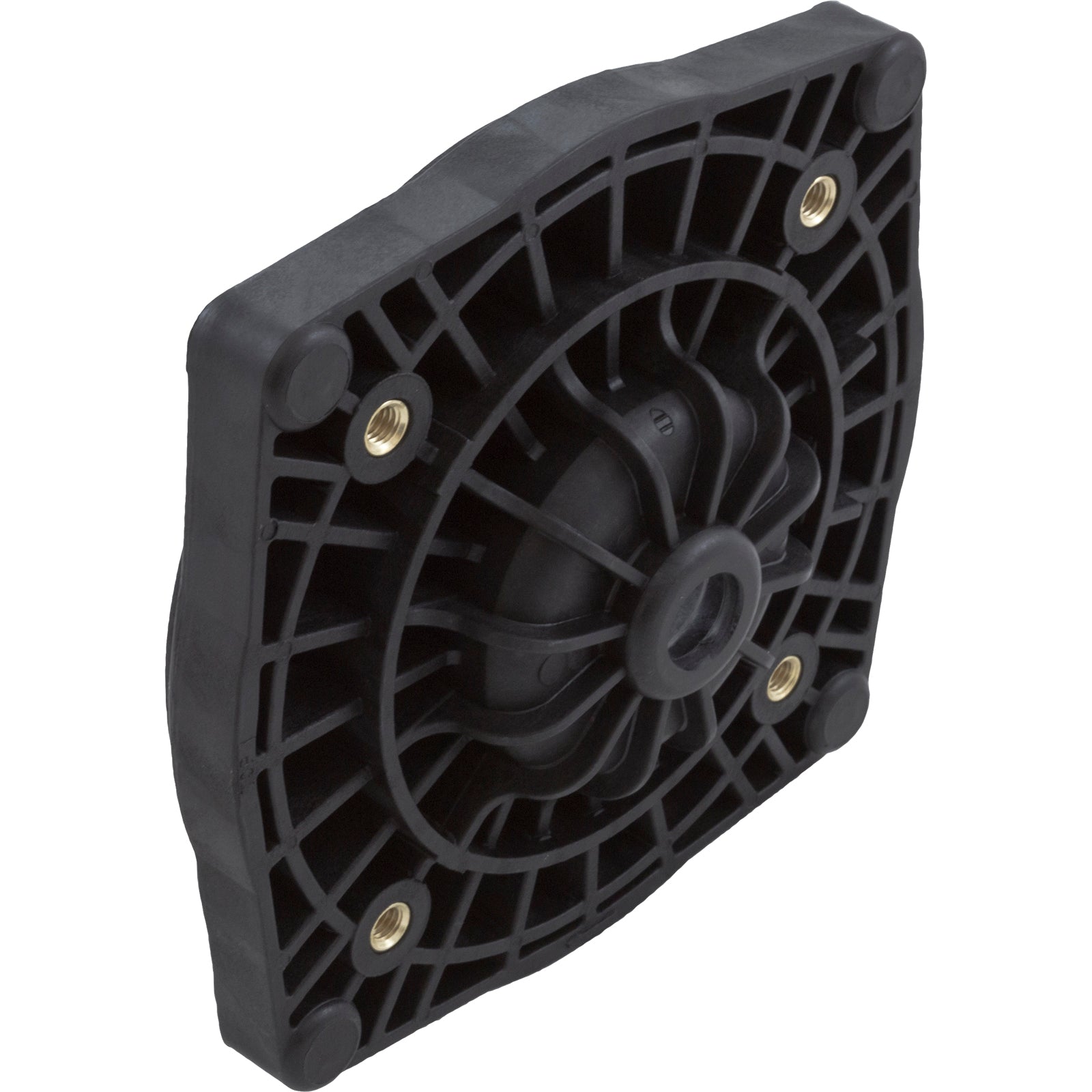 Seal Plate, Pentair StaRite SuperMax, Black