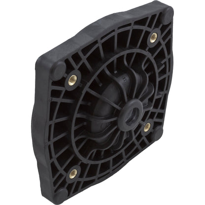 Seal Plate, Pentair StaRite SuperMax, Black