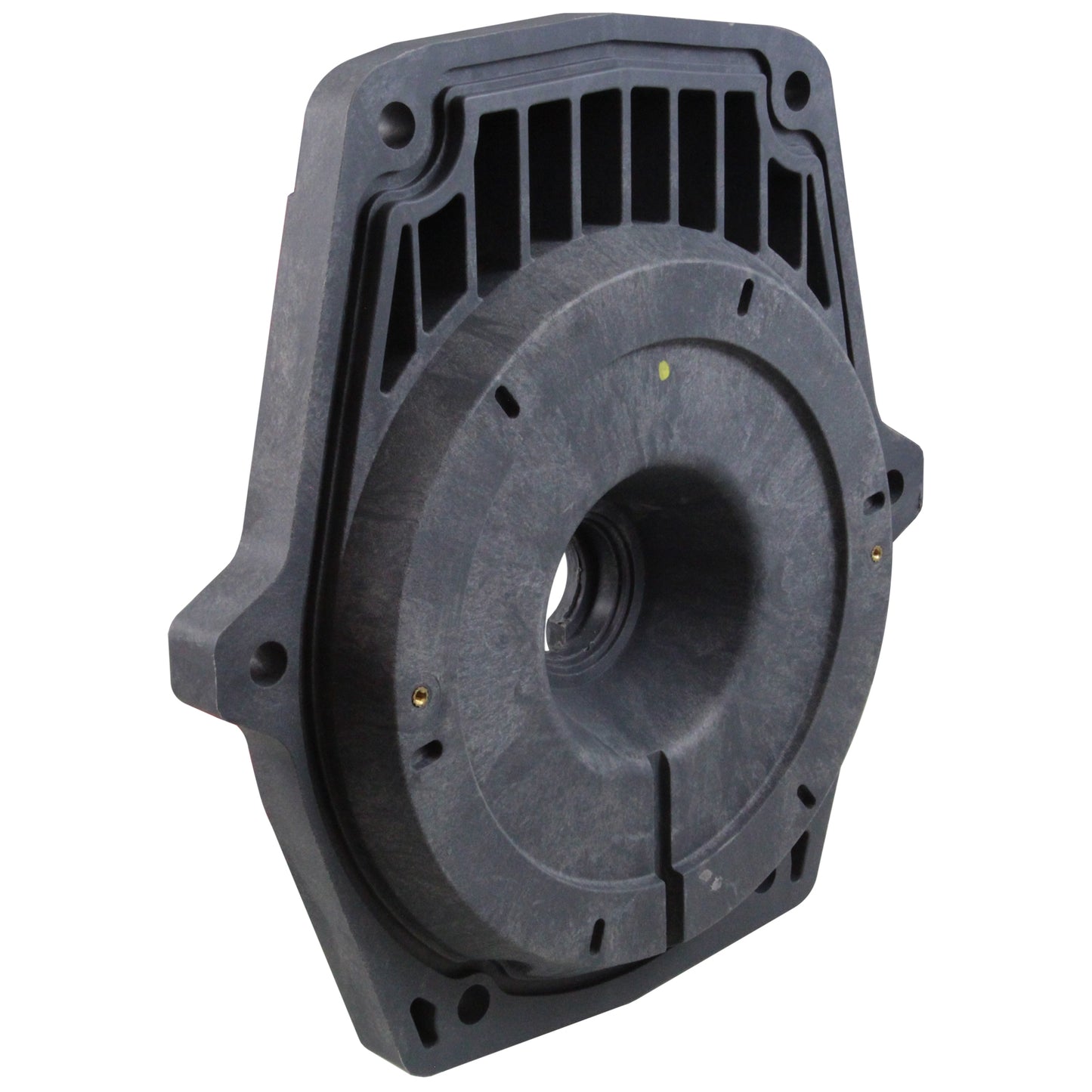 Faceplate, Waterway SVL/Champion, w/ Insert, Gray